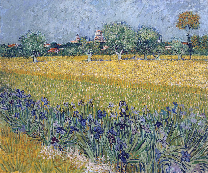 View of Arles with Irises reproduction of painting by Vincent Van Gogh. Classical Paintings