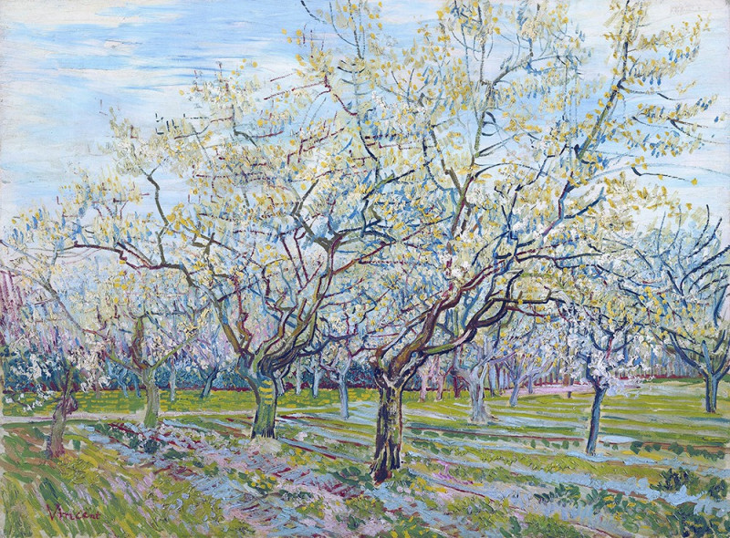 Orchard with Blossoming Plum Trees reproduction of painting by Vincent Van Gogh. Classical Paintings