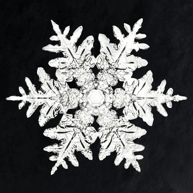 Snowflake reproduction of painting by Wilson Bentley. Photography