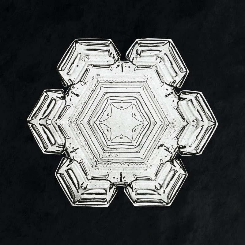 Snowflake reproduction of painting by Wilson Bentley. Photography