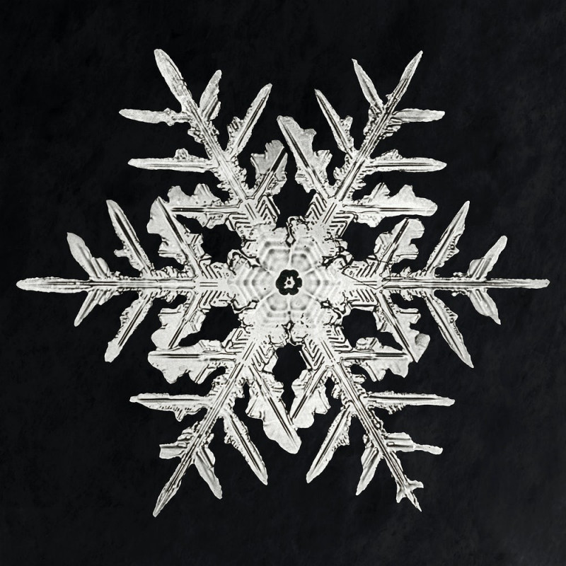 Snowflake reproduction of painting by Wilson Bentley. Photography