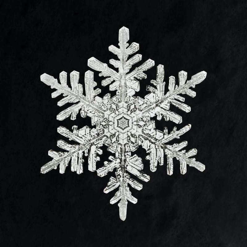 Snowflake reproduction of painting by Wilson Bentley. Photography