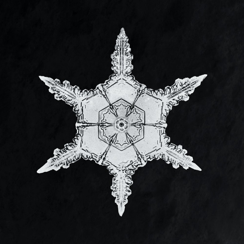 Snowflake reproduction of painting by Wilson Bentley. Photography