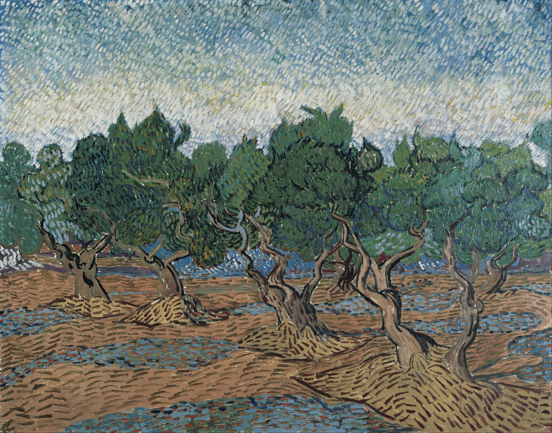 Olive Trees (1889) reproduction of painting by Vincent Van Gogh. Classical Paintings