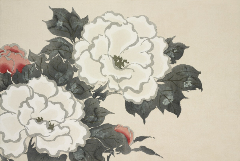 Flowers from Momoyogusa reproduction of painting by Kamisaka Sekka. Flowers