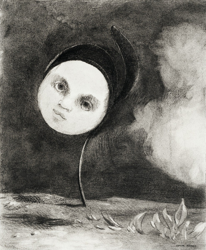 Odilon Redon reprodukcija Strange Flower, Fantastiniai paveikslai , paveikslai, reprodukcijos internetu