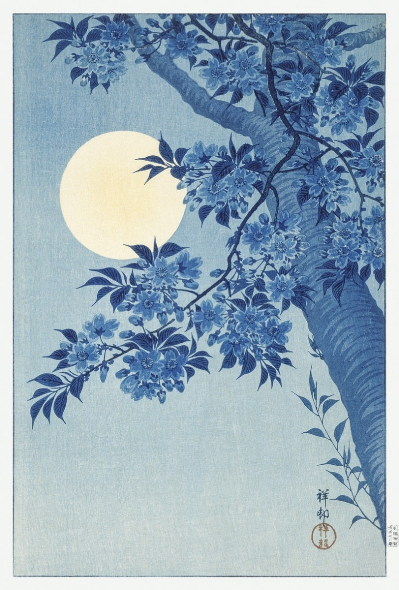 Blossoming Cherry on a Moonlit Night reproduction of painting by Ohara Koson. Classic paintings reproductions