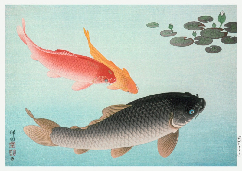 Ohara Koson reprodukcija Common and Golden Carp, Gyvūnai - Animalistinis , paveikslai, reprodukcijos internetu