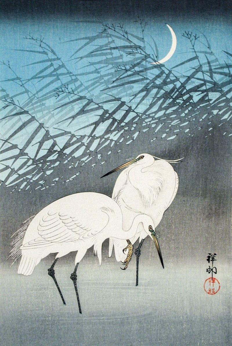 Ohara Koson reprodukcija Egrets and Reeds in Moonlight , Gyvūnai - Animalistinis , paveikslai, reprodukcijos internetu