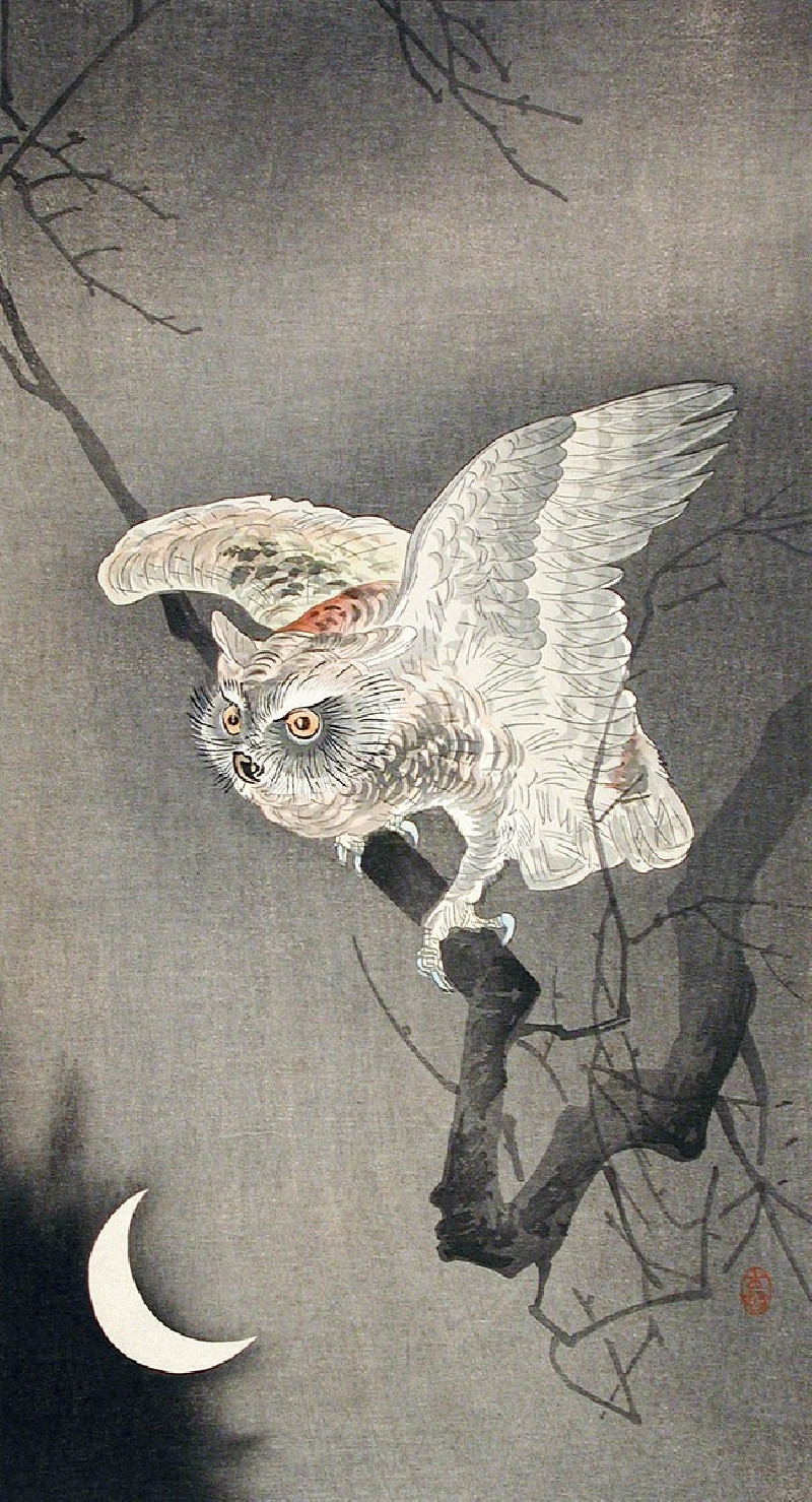 Ohara Koson reprodukcija Scops Owl in Moonlight, Gyvūnai - Animalistinis , paveikslai, reprodukcijos internetu