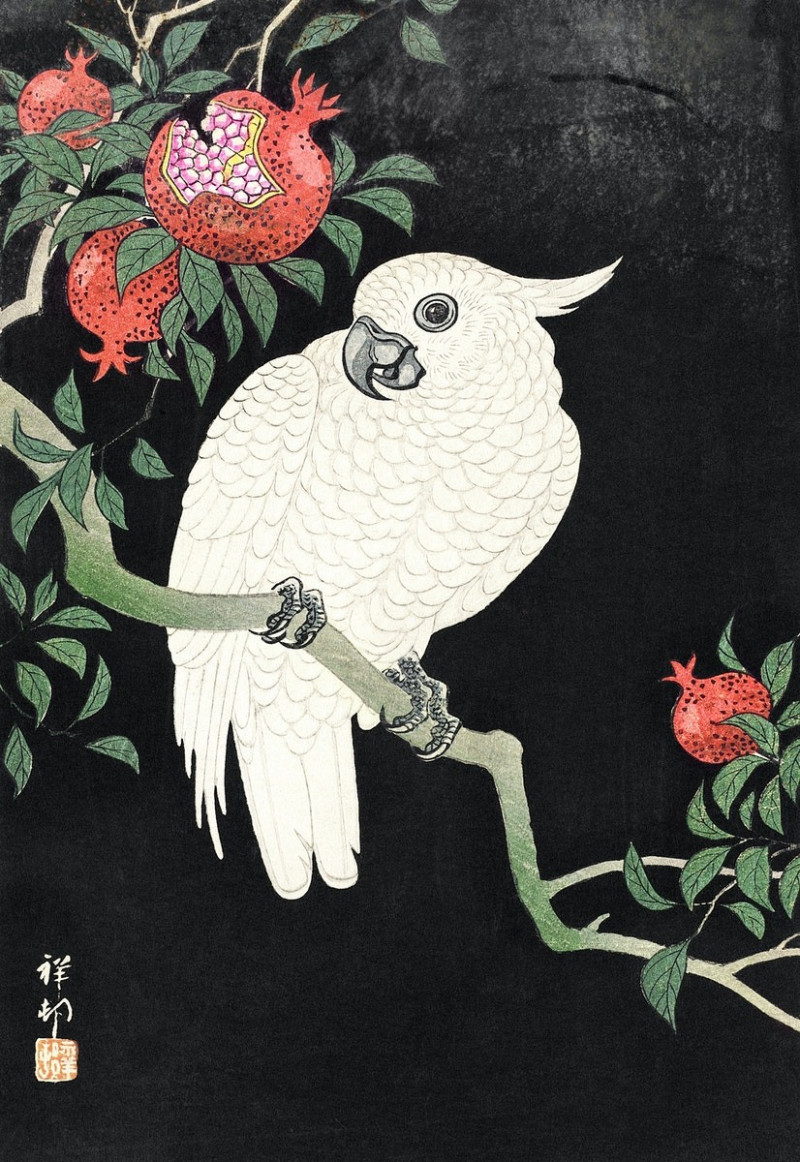 Cockatoo and Pomegranate reproduction of painting by Ohara Koson. Japanese Classic Art