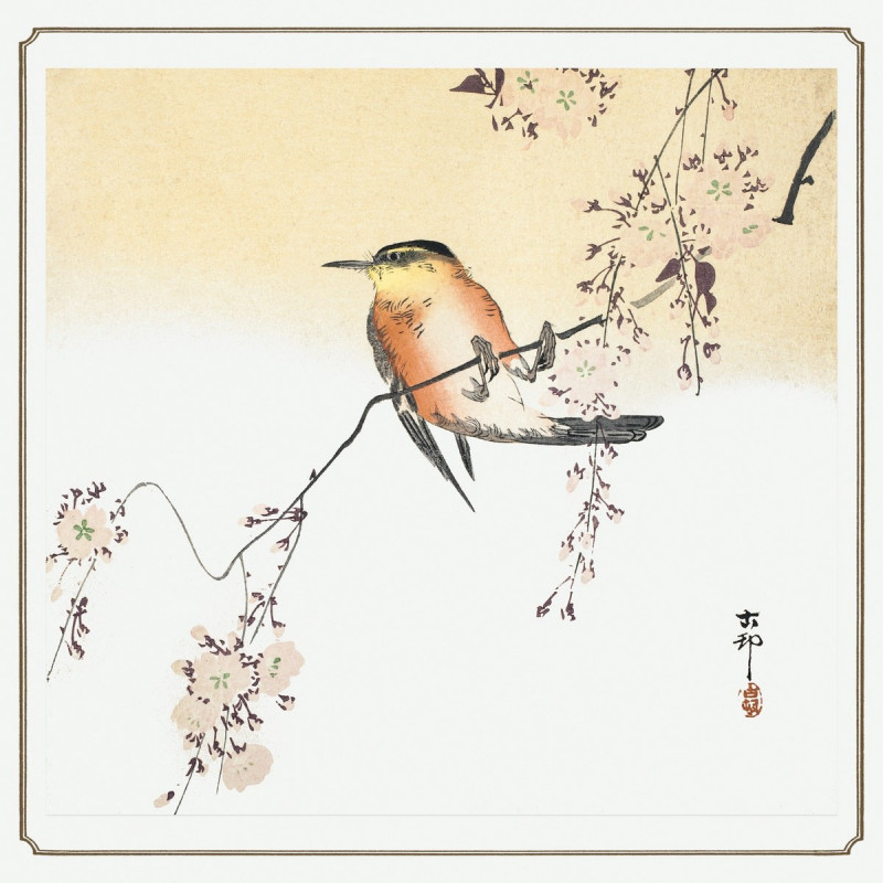 Songbird and Blossoming Cherry reproduction of painting by Ohara Koson. Animalistic