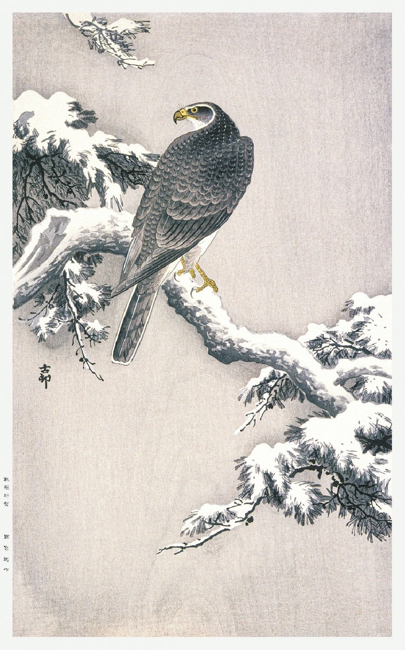 Ohara Koson reprodukcija Goshawk on Snow-covered Pine Bough, Klasikiniai kūriniai , paveikslai, reprodukcijos internetu