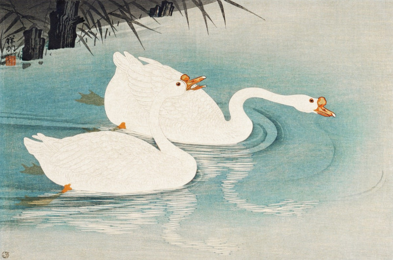 Geese amid Reeds reproduction of painting by Ohara Koson. Classic paintings reproductions