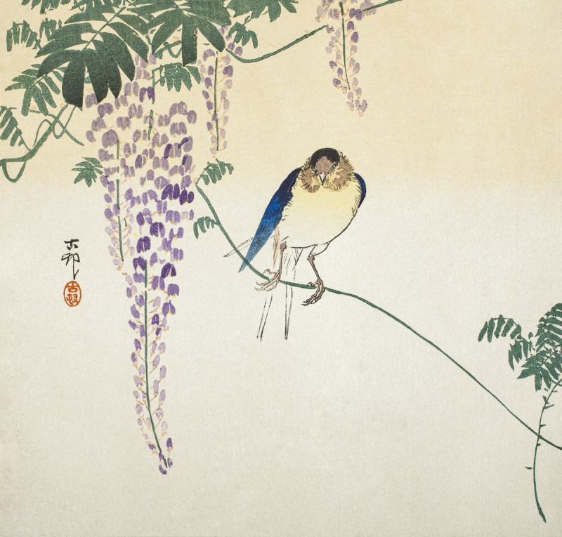 Wisteria and Swallow reproduction of painting by Ohara Koson. Animalistic