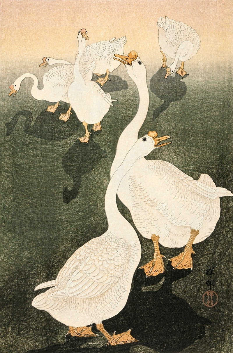 Ohara Koson reprodukcija Geese, Japonų menas , paveikslai, reprodukcijos internetu