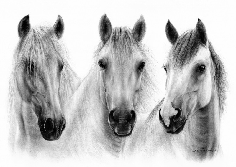 Three Beautiful Horses reproduction of painting by Danguolė Šerstinskaja. Animalistic