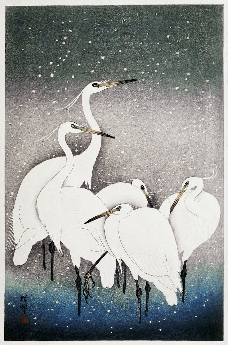 Ohara Koson reprodukcija Group of Egrets, Klasikiniai kūriniai , paveikslai, reprodukcijos internetu