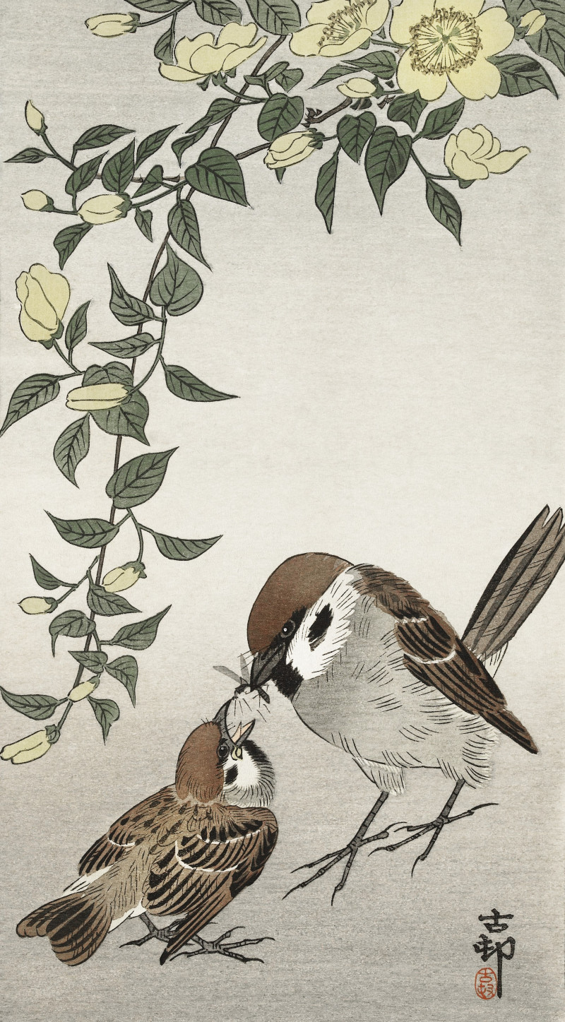 Birds and plants (1900 - 1936) reproduction of painting by Ohara Koson. Animalistic