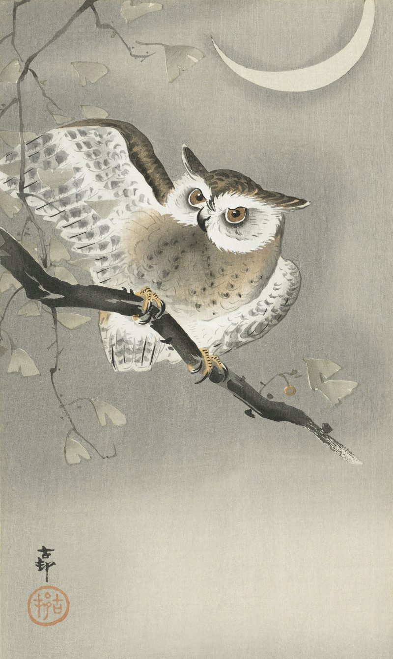 Long-eared owl in ginkgo (1900 - 1930) reproduction of painting by Ohara Koson. Animalistic