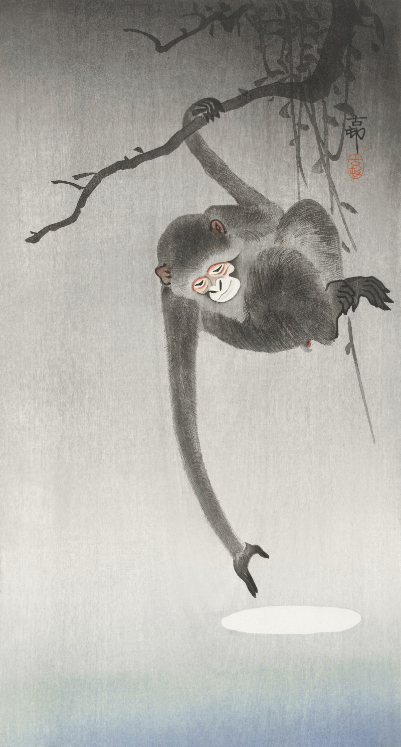 Ohara Koson reprodukcija Monkey and reflection of the moon (1900 - 1936), Gyvūnai - Animalistinis , paveikslai, reprodukcijos...