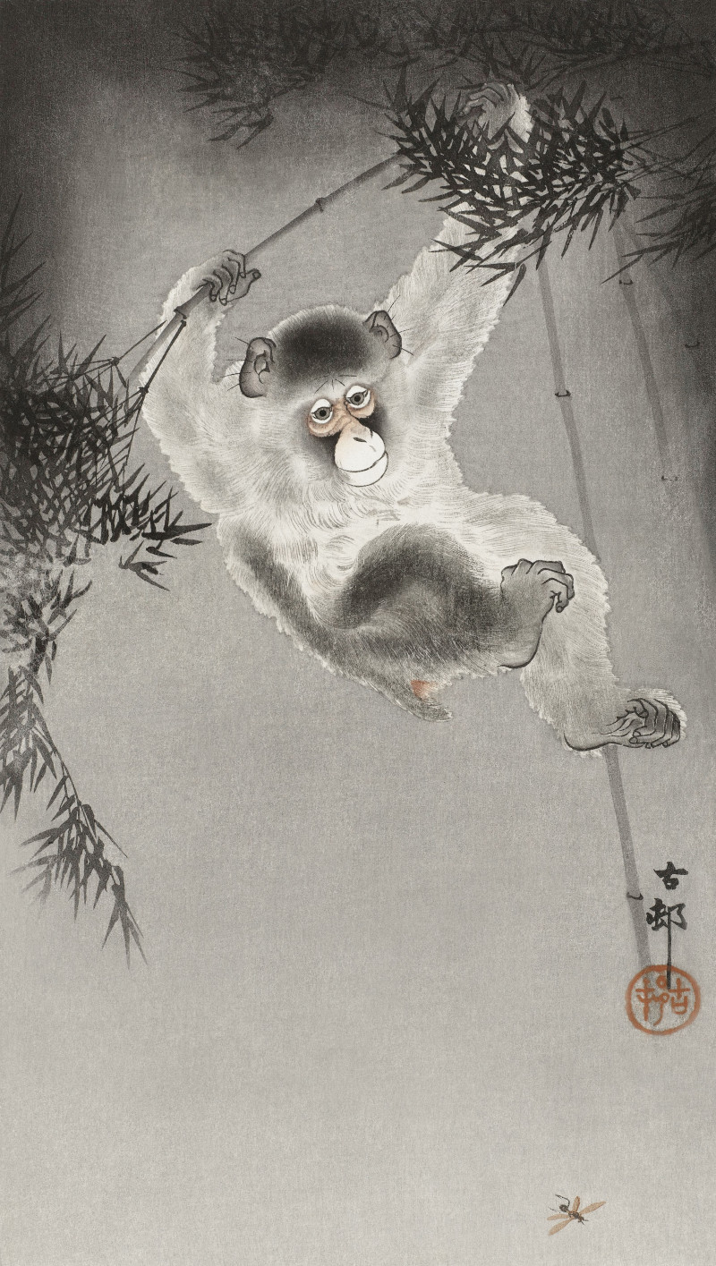 Monkey, hanging from bamboo branch (1900 - 1930) reproduction of painting by Ohara Koson. Animalistic