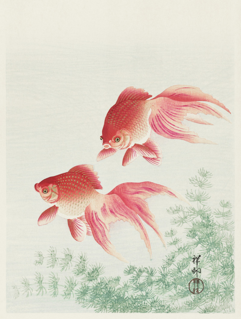 Two veil goldfish (1926) reproduction of painting by Ohara Koson. Animalistic