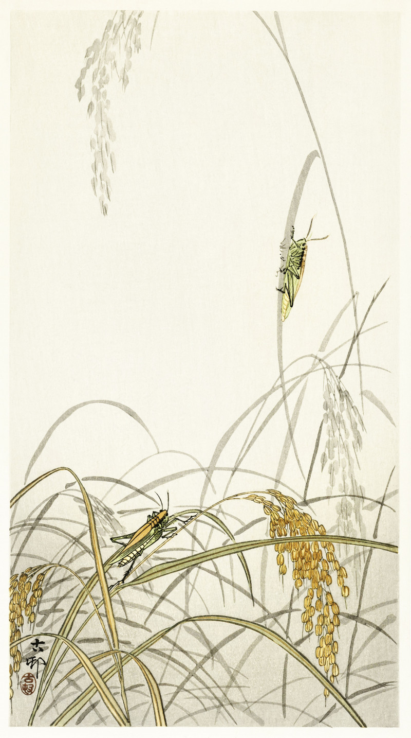 Grasshoppers on rice plants (1900 - 1936) reproduction of painting by Ohara Koson. Animalistic