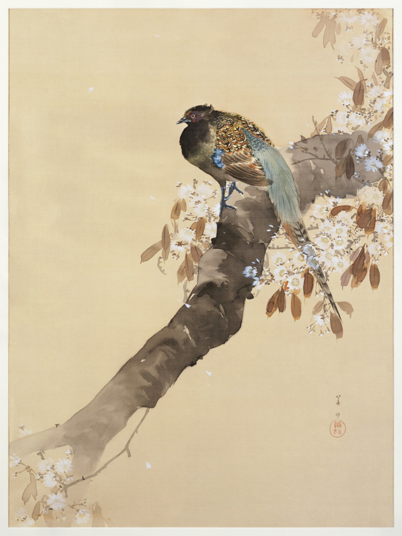 Pheasant on cherry blossom branch (1887-1945) reproduction of painting by Ohara Koson. Animalistic