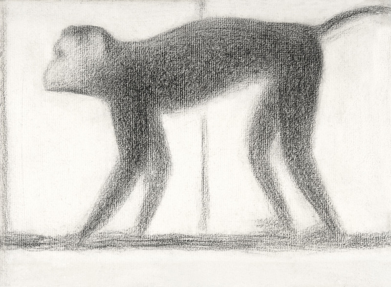 Georges Seurat reprodukcija Monkey (1884), Klasikų reprodukcijos , paveikslai, reprodukcijos internetu