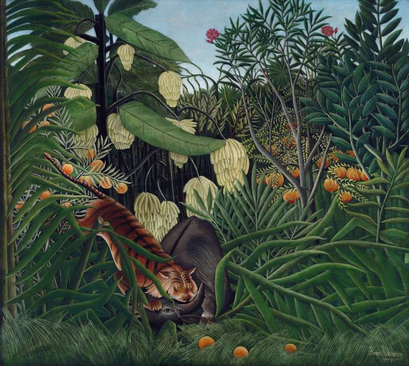 Henri Rousseau reprodukcija Fight between a Tiger and a Buffalo , Gyvūnai - Animalistinis , paveikslai, reprodukcijos internetu