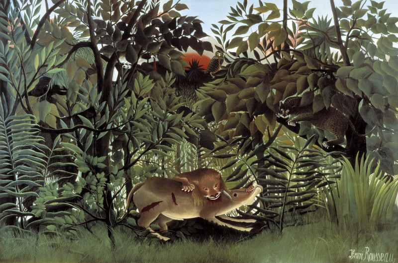 Henri Rousseau reprodukcija The Hungry Lion Throws Itself on the Antelope, Gyvūnai - Animalistinis , paveikslai, reprodukcijo...