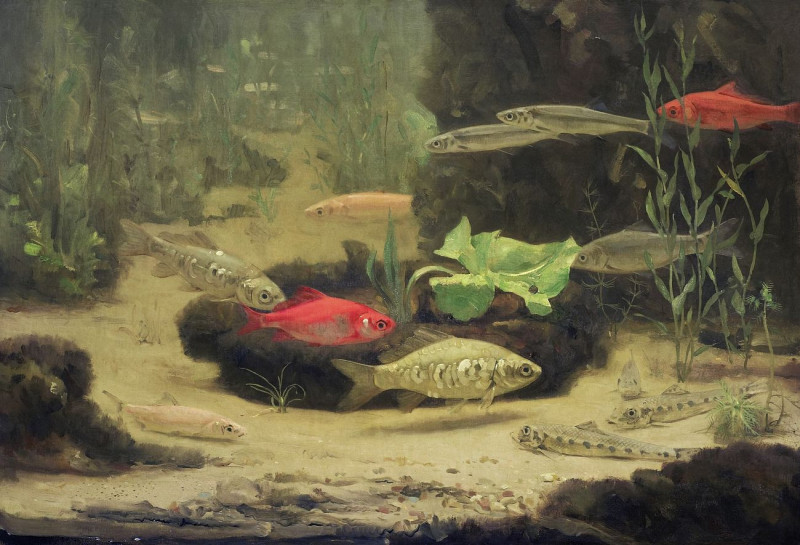 Gold- And Silverfish In An Aquarium reproduction of painting by Gerrit Willem Dijsselhof. ALL GICLEE PRINTS