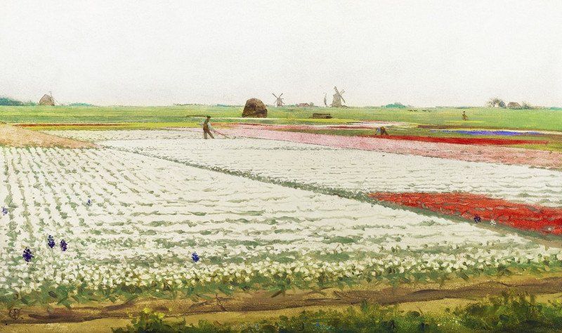 Tulip Fields reproduction of painting by Gerrit Willem Dijsselhof. ALL GICLEE PRINTS