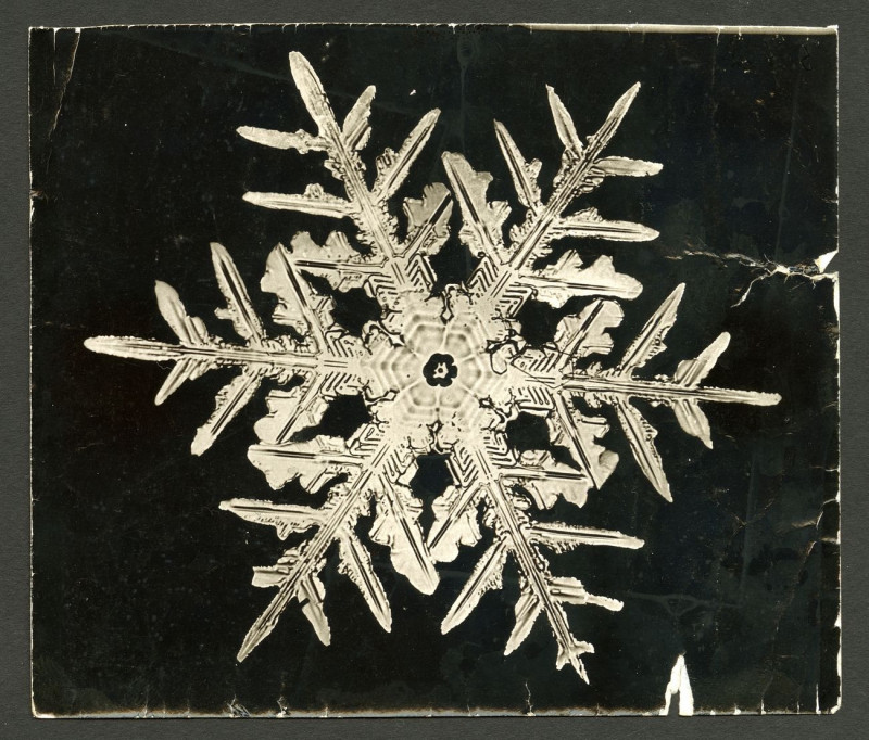 Wilson Bentley'S Snowflake 332 reproduction of painting by Wilson Bentley. ALL GICLEE PRINTS