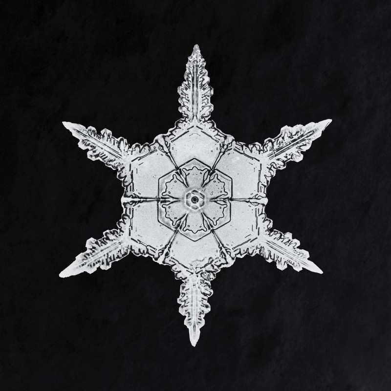 Wilson Bentley'S Snowflake 342 reproduction of painting by Wilson Bentley. ALL GICLEE PRINTS