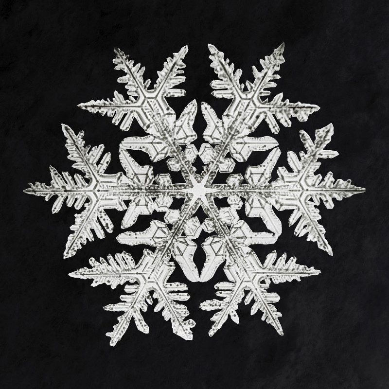 Wilson Bentley'S Snowflake 920 reproduction of painting by Wilson Bentley. ALL GICLEE PRINTS