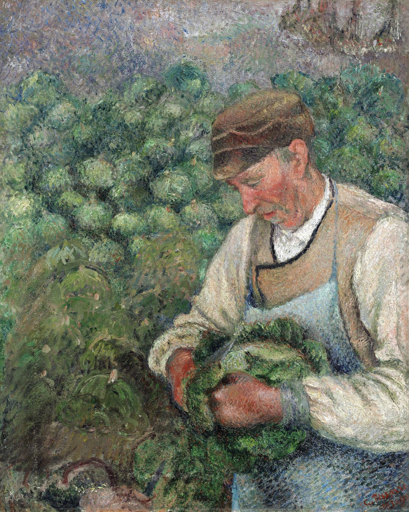 The Gardener - Old Peasant With Cabbage reproduction of painting by Camille Pissarro. ALL GICLEE PRINTS