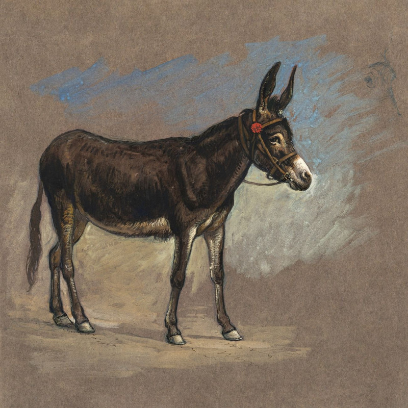 Study Of A Mule reproduction of painting by Samuel Colman. ALL GICLEE PRINTS