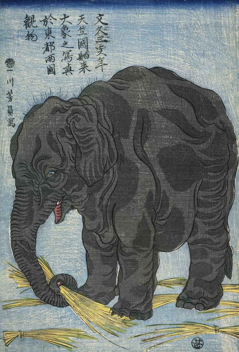 Utagawa Yoshikazu reprodukcija Large Indian Elephant, VISOS REPRODUKCIJOS , paveikslai, reprodukcijos internetu