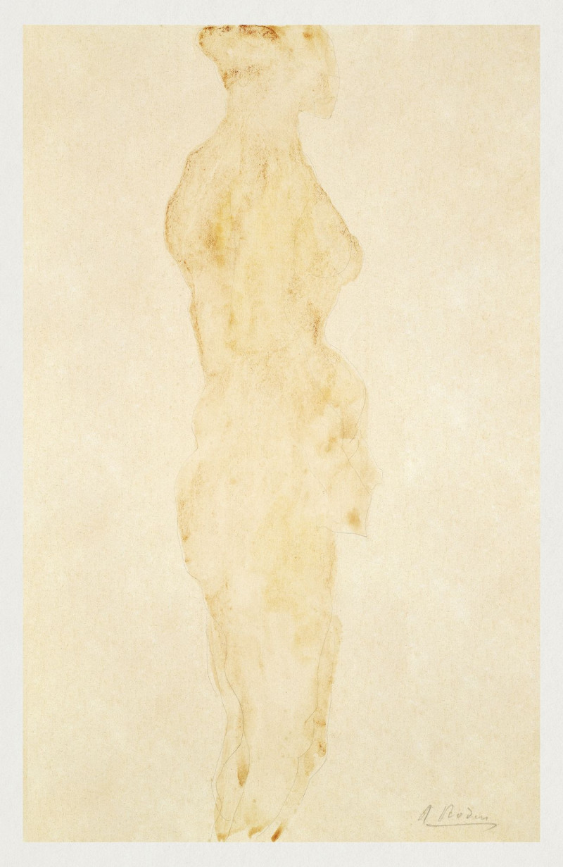 Nude Standing, Side View reproduction of painting by Auguste Rodin. Nude