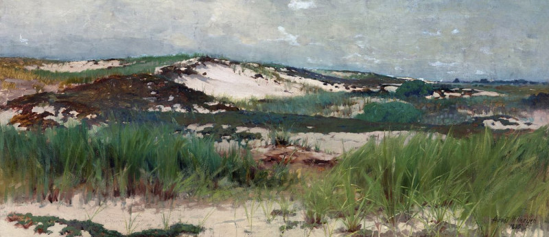 Abbott Handerson Thayer reprodukcija Nantucket Sand Dune, VISOS REPRODUKCIJOS , paveikslai, reprodukcijos internetu