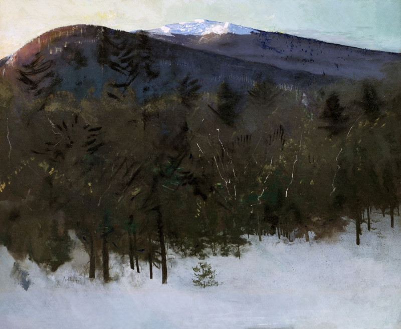 Abbott Handerson Thayer reprodukcija Mount Monadnock, VISOS REPRODUKCIJOS , paveikslai, reprodukcijos internetu