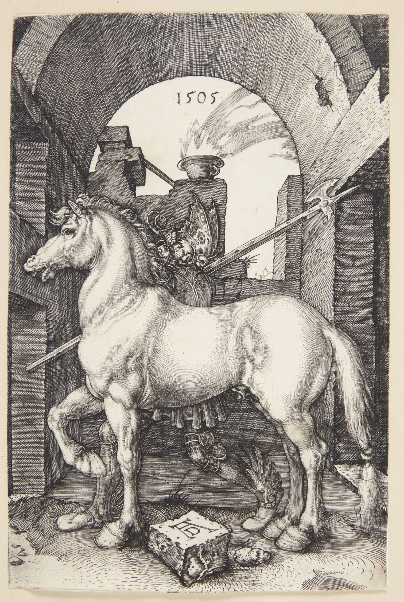 Albrecht Durer reprodukcija The Little Horse, VISOS REPRODUKCIJOS , paveikslai, reprodukcijos internetu