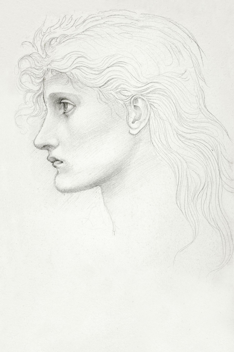 Head Of Girl Facing Left reproduction of painting by Edward Burne Jones. ALL GICLEE PRINTS