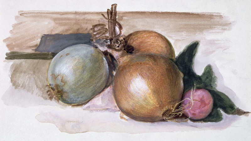 Still-Life - Study Of Onions reproduction of painting by Edward Burne Jones. ALL GICLEE PRINTS