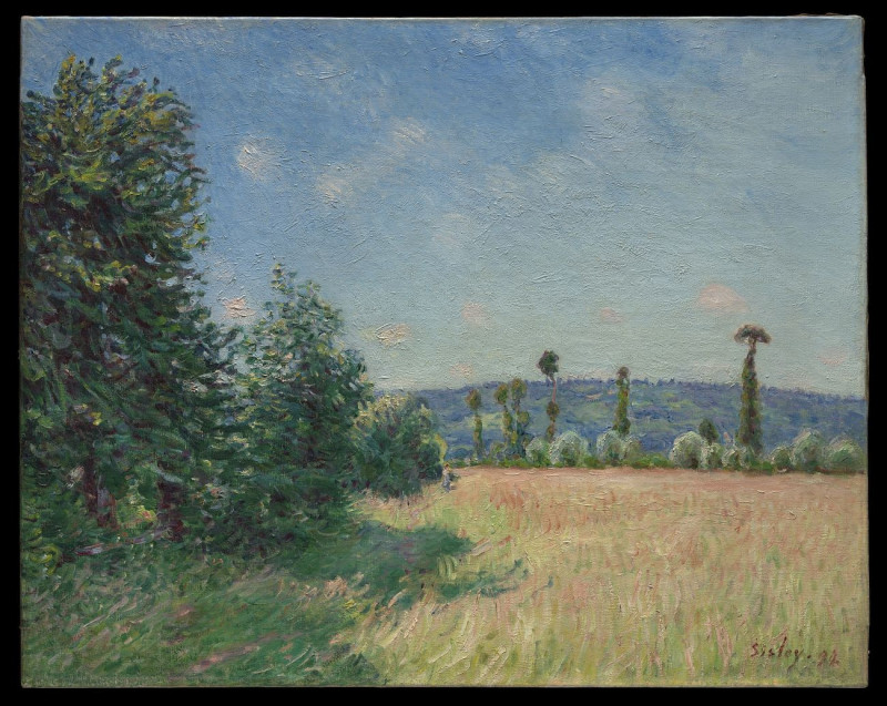 Sahurs Meadows In Morning Sun reproduction of painting by Alfred Sisley. ALL GICLEE PRINTS