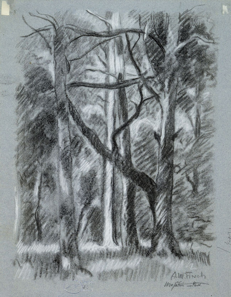 Alfred William Finch reprodukcija Forest Landscape From Urajärvi, 1923, VISOS REPRODUKCIJOS , paveikslai, reprodukcijos inter...