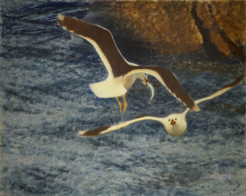 Lesser Black-Backed Gulls Flying reproduction of painting by Bruno Liljefors. ALL GICLEE PRINTS