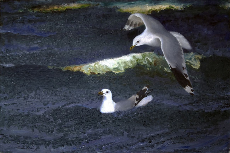 Gulls reproduction of painting by Bruno Liljefors. ALL GICLEE PRINTS